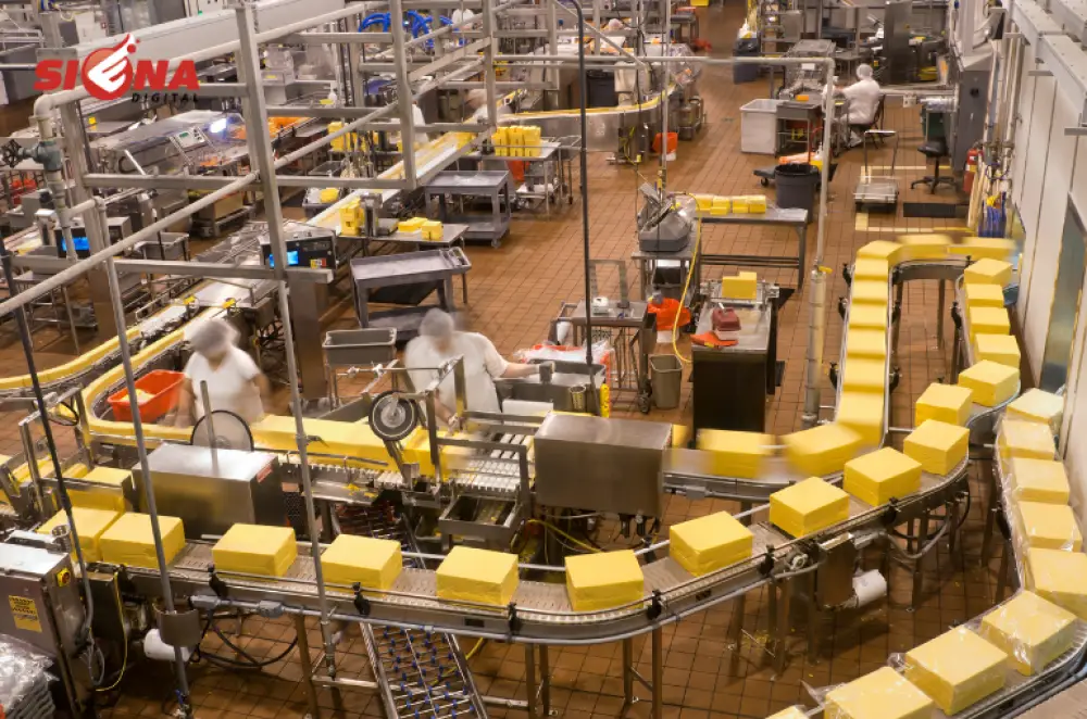 Por que sua Indústria de Alimentos precisa de um Site Institucional e por que a Siena Digital é a agência ideal para isso